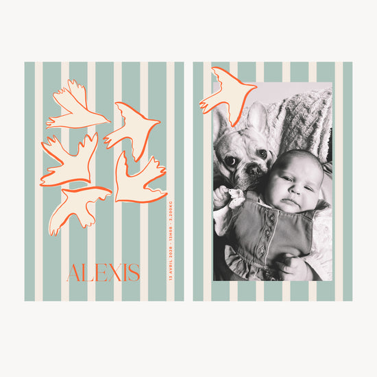 NAISSANCE - BIRDS