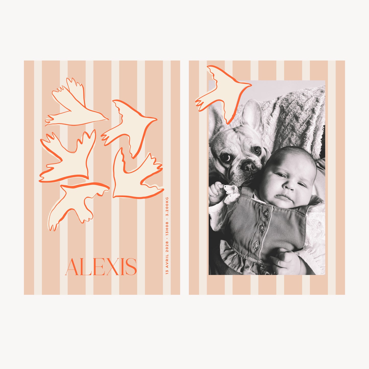 NAISSANCE - BIRDS