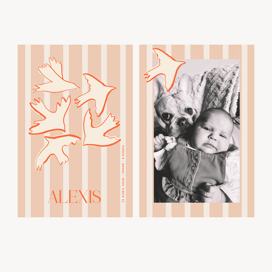 NAISSANCE - BIRDS