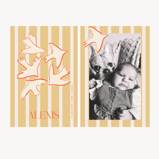 NAISSANCE - BIRDS