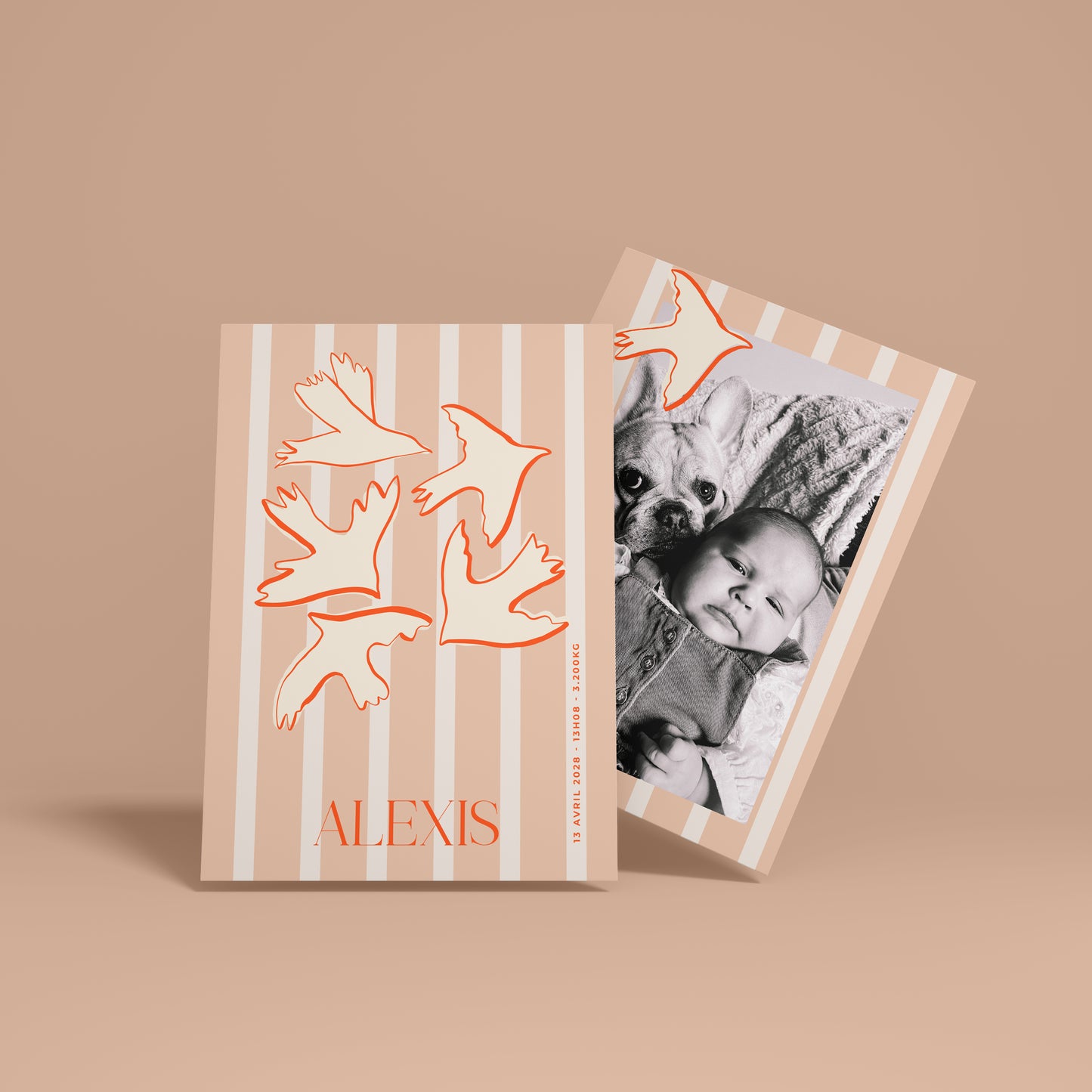 NAISSANCE - BIRDS