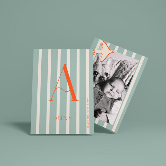 NAISSANCE - RAYURES